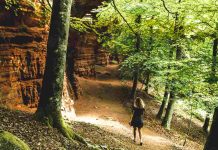 Colorado alsacien : spot nature parfait pour une escapade week-end