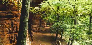 Colorado alsacien : spot nature parfait pour une escapade week-end