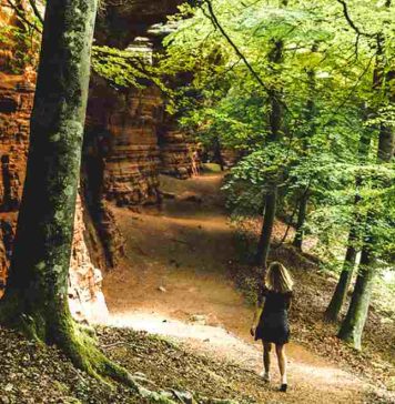 Colorado alsacien : spot nature parfait pour une escapade week-end