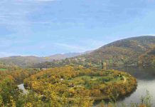 Fustiere : immersion dans un environnement préservé en Provence Fustiere