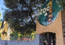 Meteo la palmyre : quelle saison choisir pour vos vacances en Charente ? vacances en charentes