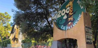 Meteo la palmyre : quelle saison choisir pour vos vacances en Charente ? vacances en charentes