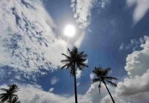 Meteo la Palmyre : températures, vent et marées… que faut-il savoir ? meteo la Palmyre