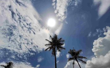 Meteo la Palmyre : températures, vent et marées… que faut-il savoir ? meteo la Palmyre