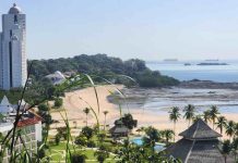Panama : comment organiser un circuit entre nature et plages ? Panama