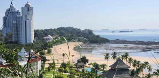 Panama : comment organiser un circuit entre nature et plages ? Panama