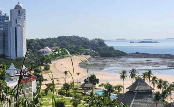 Panama : comment organiser un circuit entre nature et plages ? Panama